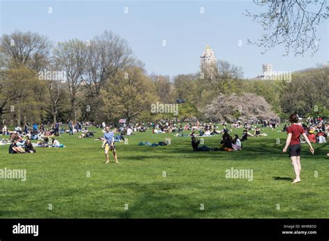 People Enjoying Leisure Activities At The Sheep Meadow In Central Park