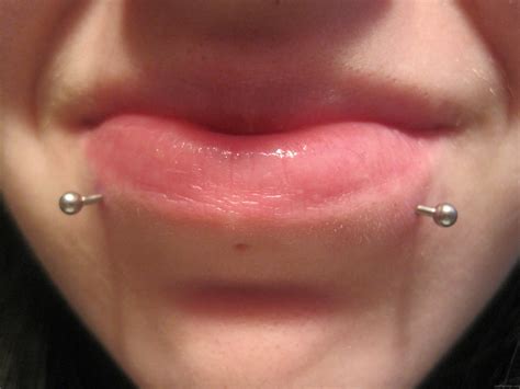 An ultimate snake bites piercing guide with images, jewelry, procedure, pain level, healing process, aftercare, cost of jewelry and piercing. Dalls Snake Bites Piercing Close Up