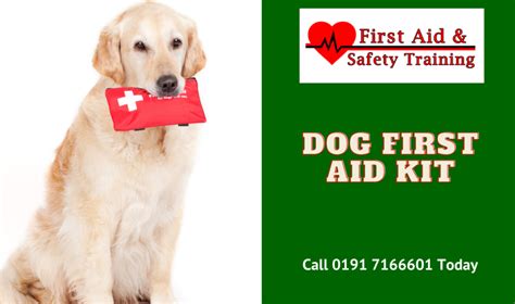 Dog First Aid Kit First Aid Training Newcastle