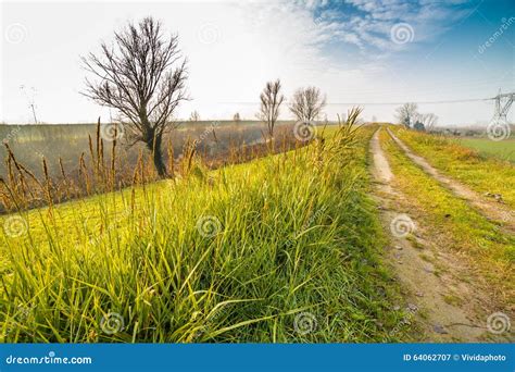 Country Road In Foggy Countryside Stock Image Image Of Countryside