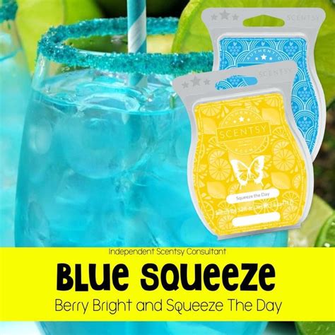 Blue Squeeze Scentsy Recipes Scentsy Scentsy Wax Bars