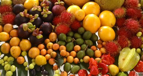 Contextual translation of senarai buah buahan into english. Cara Memeram Buah-buahan & Senarai Buah-buahan Yang Boleh ...