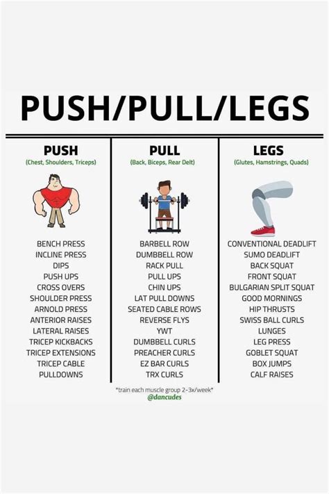 Push Pull Legs Exercises List Artofit