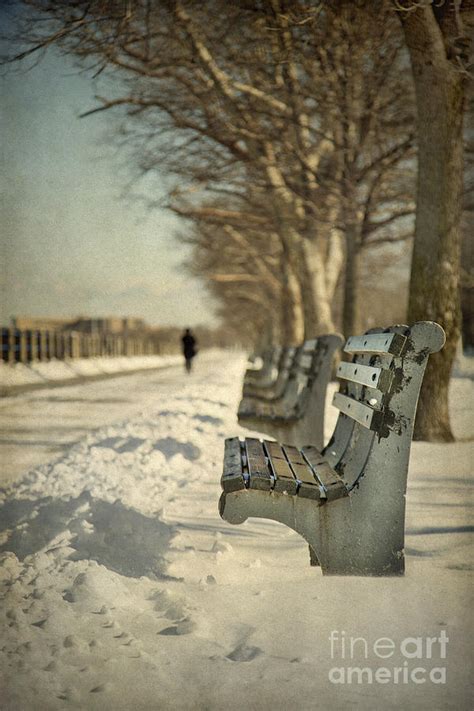 Days Of Cold Chills Photograph By Evelina Kremsdorf Fine Art America