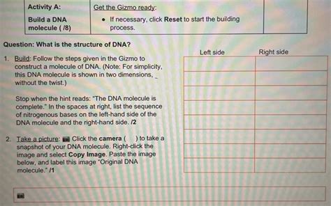 Watch this video to help you get started on the building dna gizmo. Gizmo Building Dna Answers - Student Exploration Food Chain Answer Key Pdf Food Chain Gizmo ...