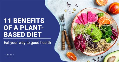 11 Benefits Of Plant Based Diet For Overall Health