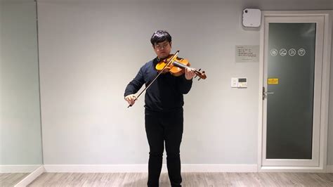 When You Wish Upon A Star Viola Cover Youtube
