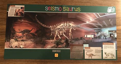 The Seismosaurus Is What Made The Nm Museum Of Natural History And Science It Is Giant And It