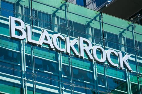 Blackrocks Fink Should Resign Over Esg Says Former Sustainability