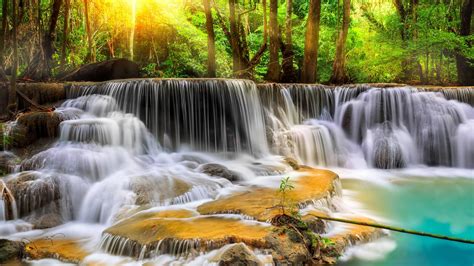 Beautiful Waterfall Stream In Green Trees Forest Background K Hd