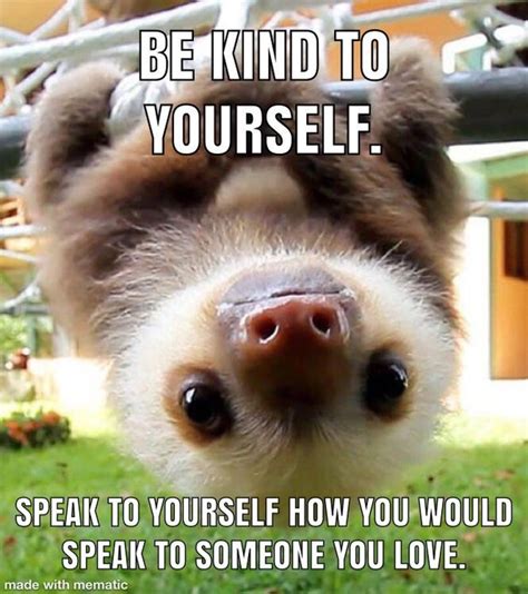 Wise Words From A Baby Sloth Meme Guy