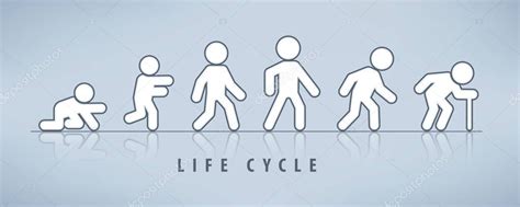 Man Life Cycle Flat Vector Illustration Male Person Aging Stages Guy Images