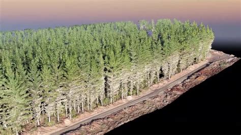 Drone 3d Scans The Forest With Structure From Motion Photogrammetry