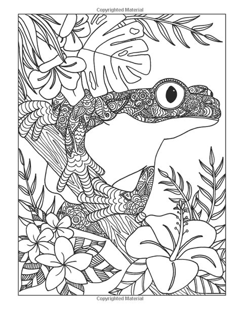 Animal Kingdom Coloring Pages At Getdrawings Free Download