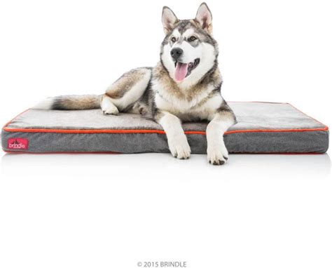 The 7 Best Dog Beds For Older Dogs Barkforce