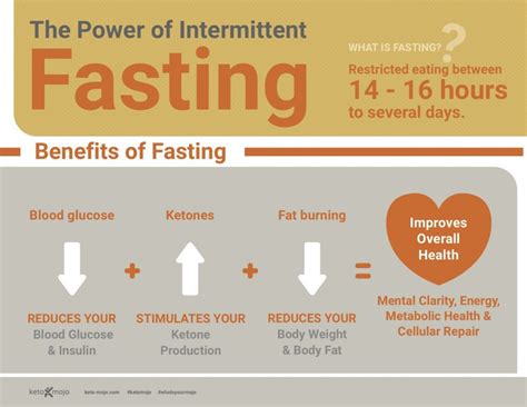 Benefits Of Intermittent Fasting Intermittent Fasting Guide