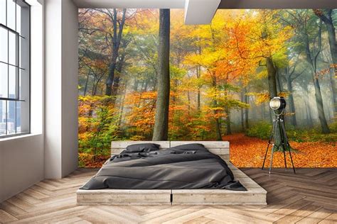 Autumn Forest Wall Mural