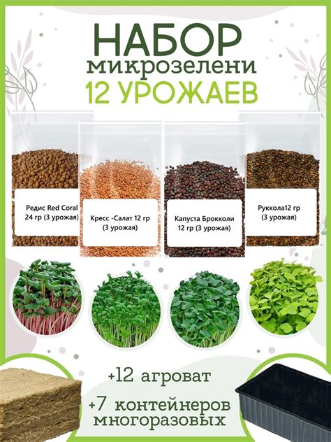 Микрозелень СПБ / Микро зелень Санкт-Петербург | ВКонтакте
