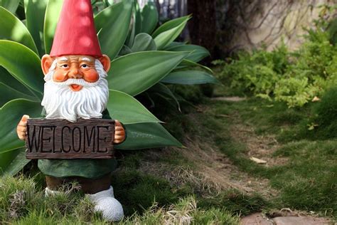 Best Garden Gnomes Gardegn Com