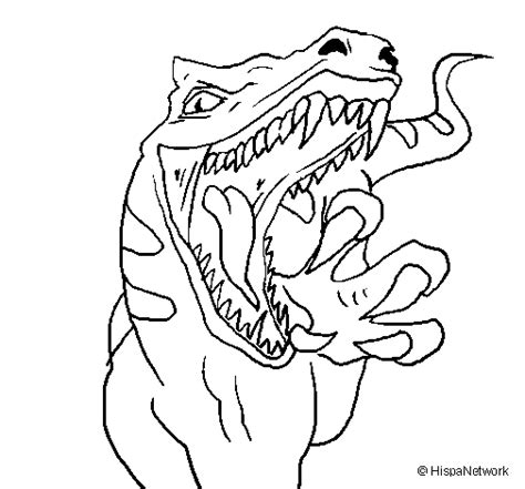Dibujo De Velociraptor Ii Para Colorear Dibujos Net