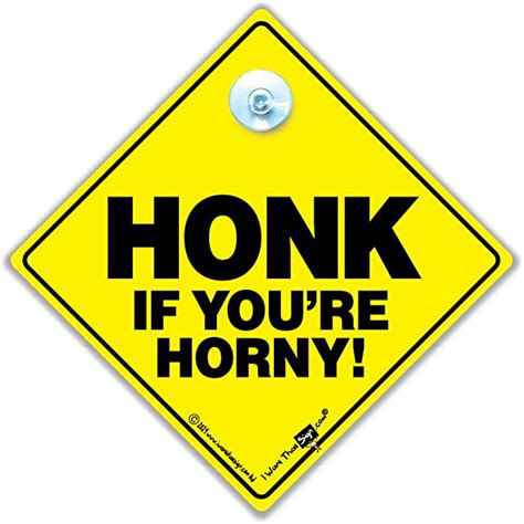 Honk If You Re Horny Car Sign Honk If You Re Horny Sign Car Sign