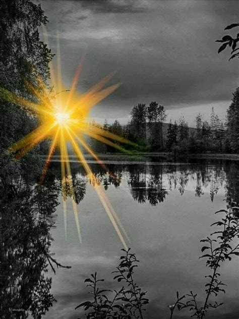 Black & White Color Splash Photography #black & #white #colorsplash