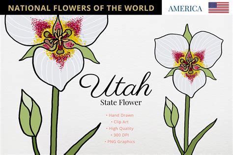 Utah State Flower Graphic By Hanatist Studio · Creative Fabrica