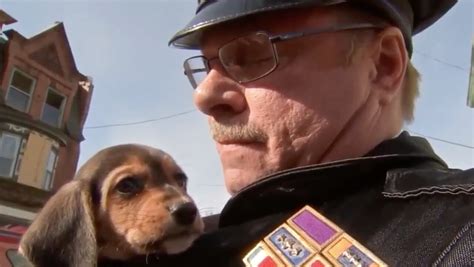 Police Rescue 11 Beagles From Unsafe Cold Conditions