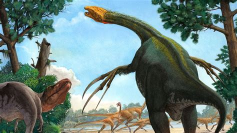 The Evolution Of Therizinosaur Dinosaurs Youtube