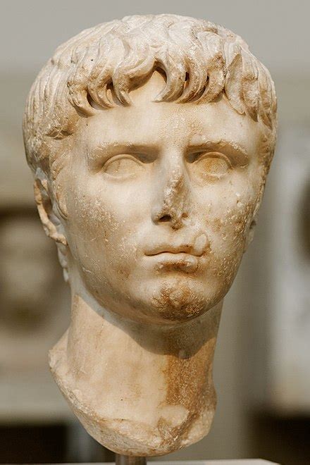 Gaius Caesar Wikipedia