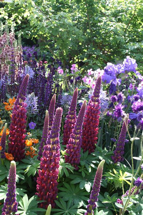 We specialize in luxury flowers delivery, monday to sunday in london and uk. Chelsea Flower Show | Chelsea flower show, Kew gardens ...