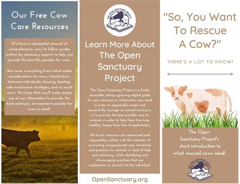 The Open Sanctuary Projects So You Want To Rescue A Cow Brochure