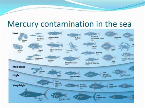Ppt Lecture 6 Pollution And Disease In The Marine Environment