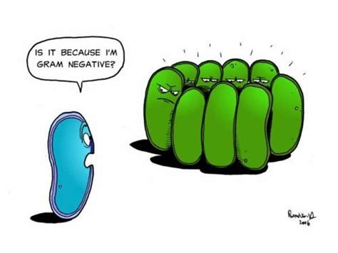 Science Jokes Lab Humor Biology Humor Science Humor