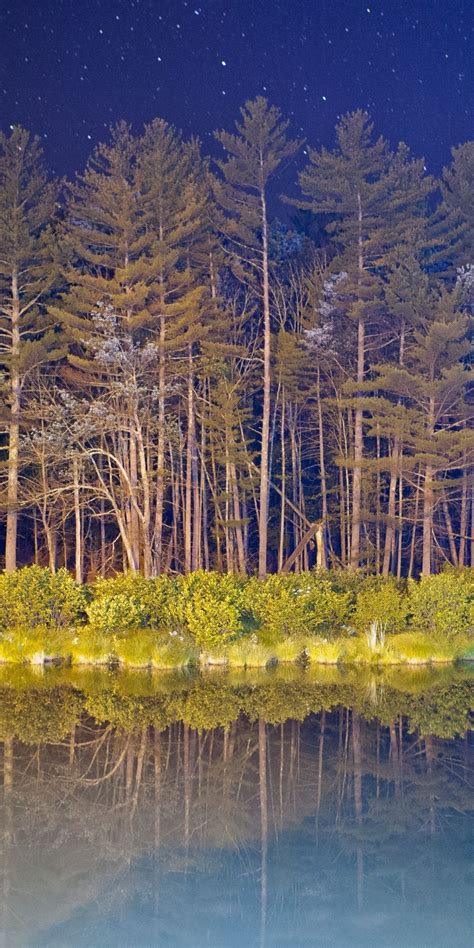 Forest Lake Reflection Android Stock Tree 1080x2160 Wallpaper Nature Iphone Wallpaper