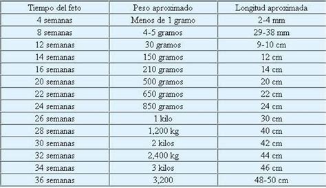 Cuanto Pesa Un Bebe De 36 Semanas Articulo Para Bebes
