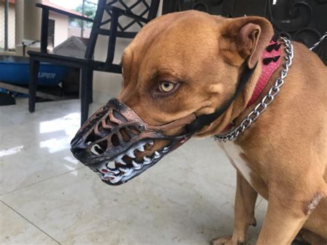 People Are Sharing What Their Dogs Look Like With This Scary Dog Muzzle