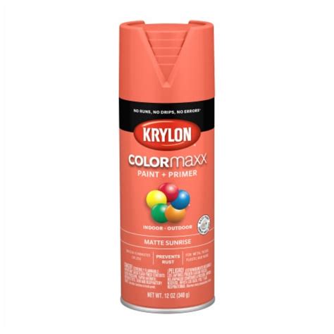 Krylon® Colormaxx Indooroutdoor Paint And Primer Matte Sunrise 12
