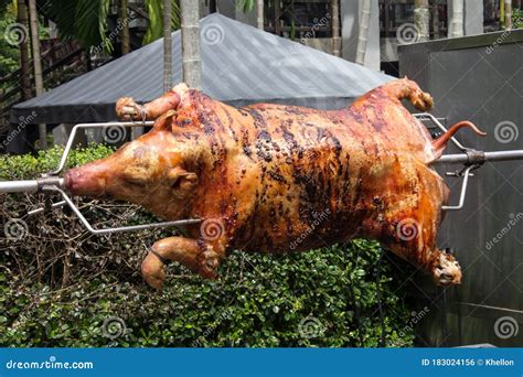 Pig Spit Roast Royalty Free Stock Image 49724800