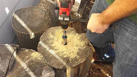 5 Things To Avoid When Hollowing Out A Log