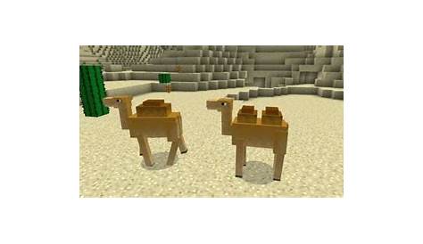 how to tame camels in minecraft