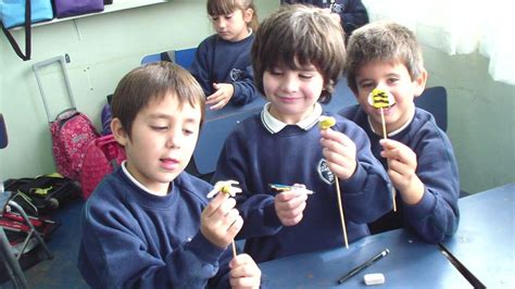 Colegio Tierra Del Sur Pinamar Proyecto Había Una Vezlas Abejas