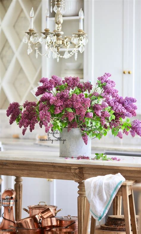 Make sure is kept out of direct sunlight, warm or draughty areas. How to keep lilacs from wilting after cutting them ...