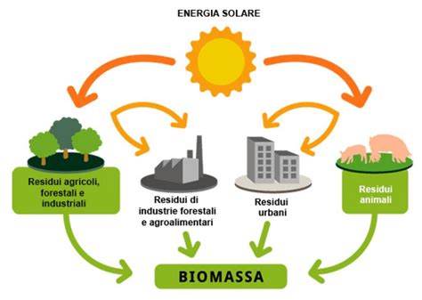 Biomassa Processi Termochimici E Biochimici Per La Produzione Di Energia