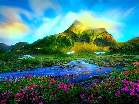 Hermosos Paisajes Montaña Bonitas Flores Naturaleza Fondo De
