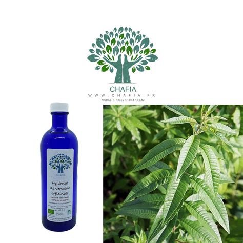 Hydrolat Bio De Verveine Chafiafr Boutique Bio