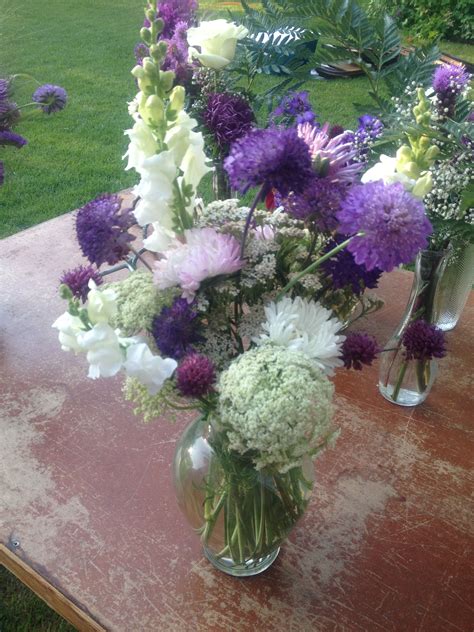 Scabiosa Snaps Asters Ammi Purple Rustice Wedding Farm Flower