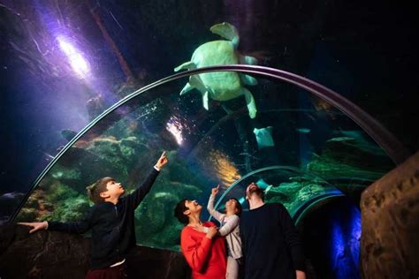 Sea Life London Entrance Ticket Getyourguide