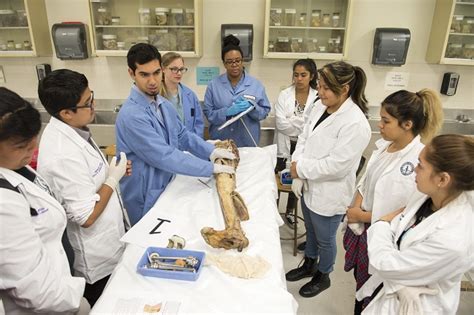 Health science is the discipline of applied science which deals with human and animal health. Pomona students explore health care professions | Class Notes