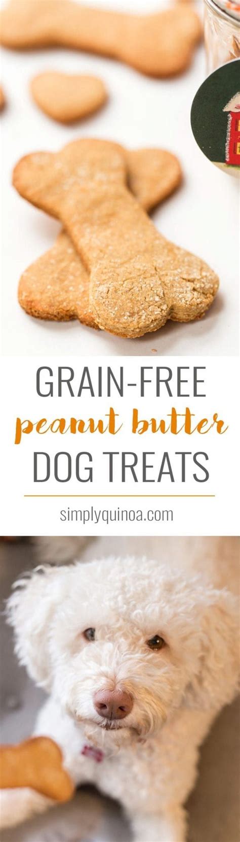 Grain Free Peanut Butter Dog Treats Simply Quinoa Recipe Peanut